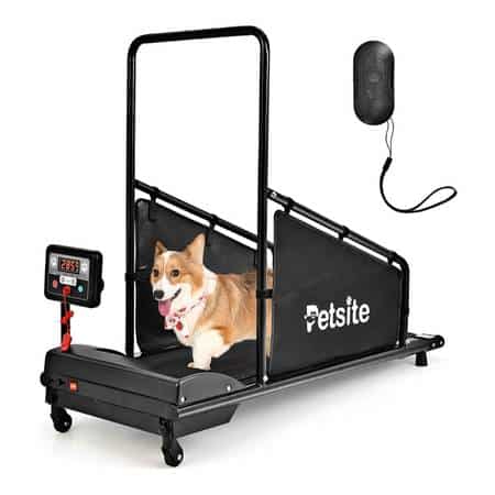 PETSITE Dog Treadmill