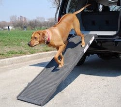 best cat toys for hunters