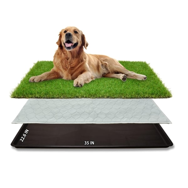 PICK FOR LIFE dog grass.