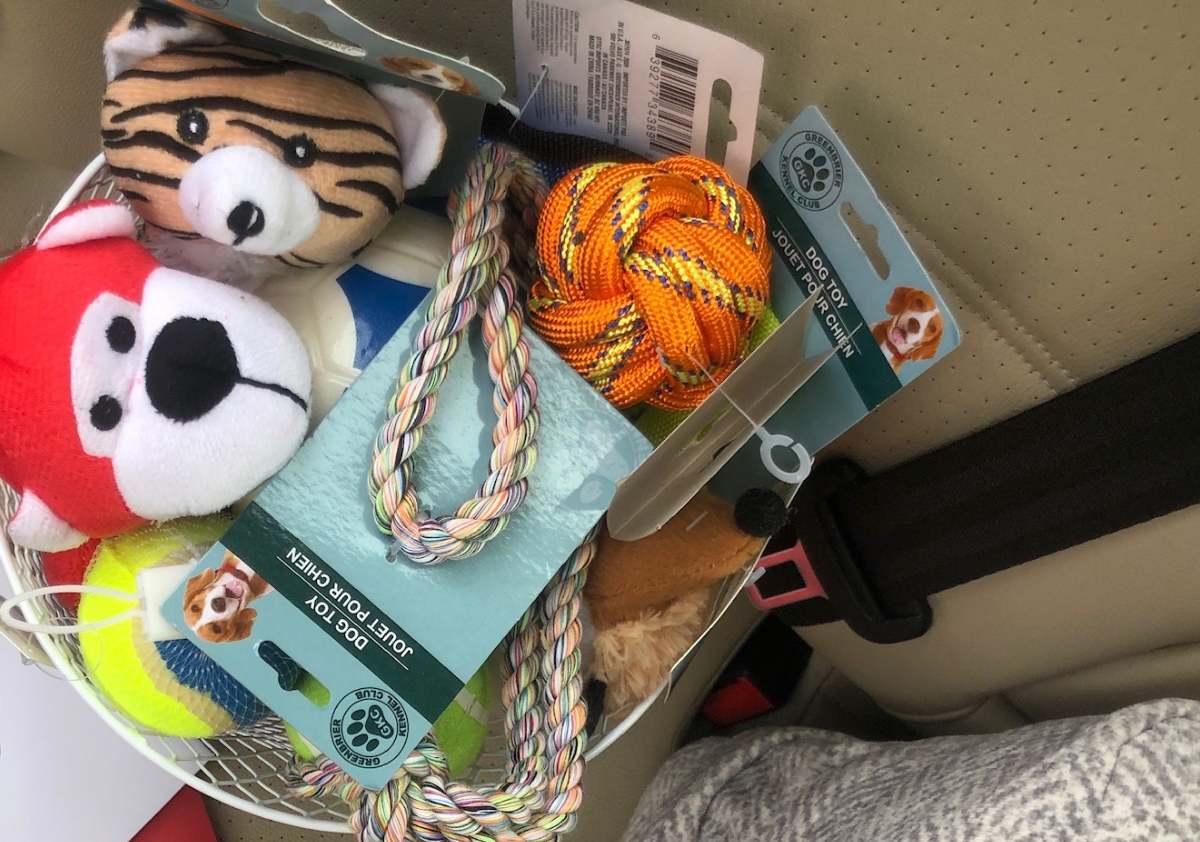 A pile of puppy teething toys.