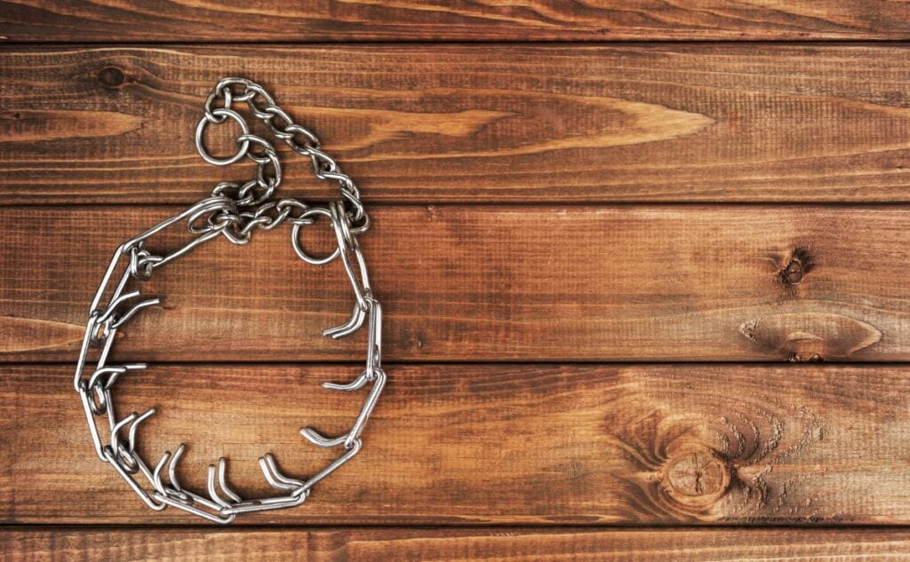 Pinch collar on a table.