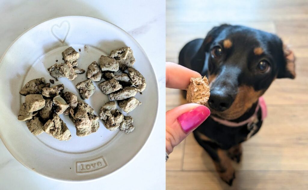 A plate of liver freeze dried treats and dog looking at treat in hand.