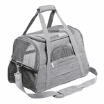 Prodigen pet carrier