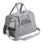 Prodigen pet carrier
