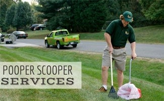 Pooper Scooper Service in yard (text in image: pooper scooper services)