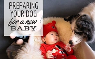 Baby laying next to dog (caption: Preparing Your Dog For A New Baby)