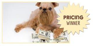 Dog laying next to money: (text in image: pricing winner)