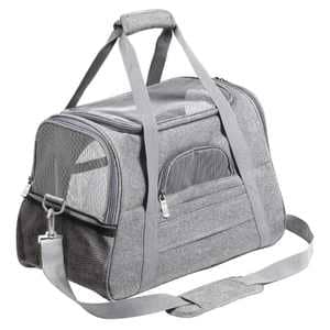 Prodigen pet carrier