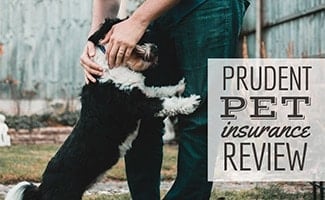 Black and white dog jumping on man's legs (caption: Prudent Pet Insurance Review)