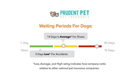 Prudent Pet Insurance waiting periods