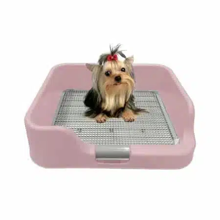 PS Korea Indoor Dog Potty Tray