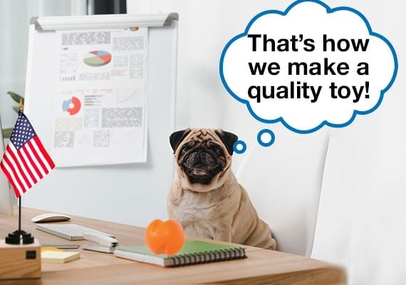 Pug dog sitting at office desk presenting how to make a quality dog toy.