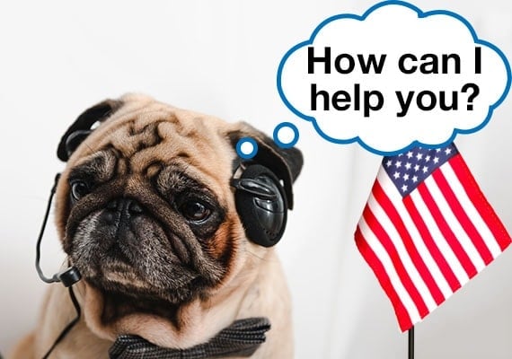 Pug dog with phone headset next to American flag.
