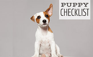 Puppy sitting (caption: Puppy Checklist)
