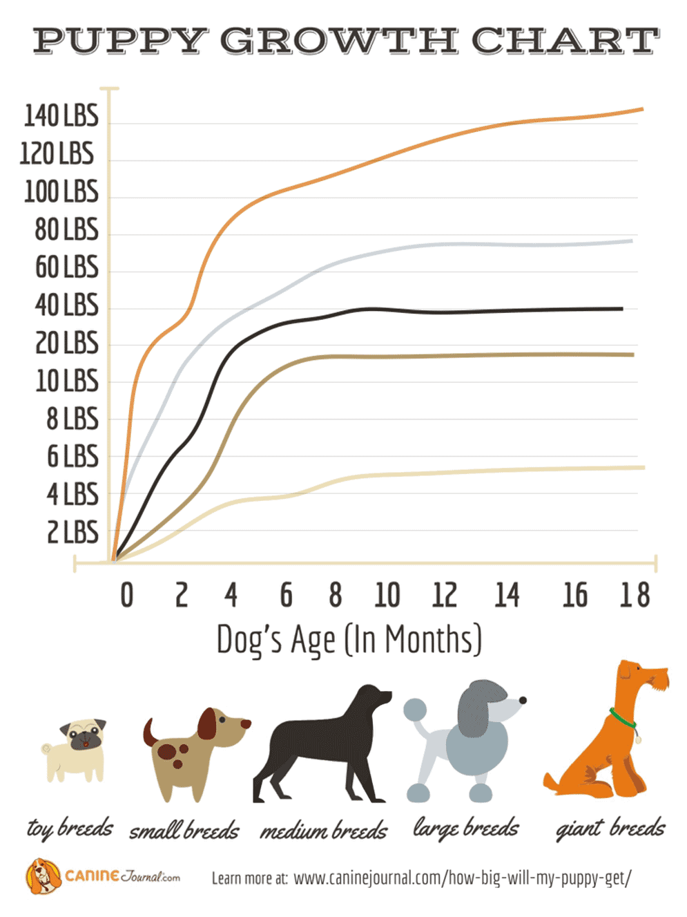 medium dog weight chart