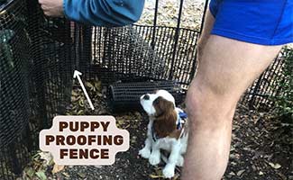 puppy proofing fence jpg