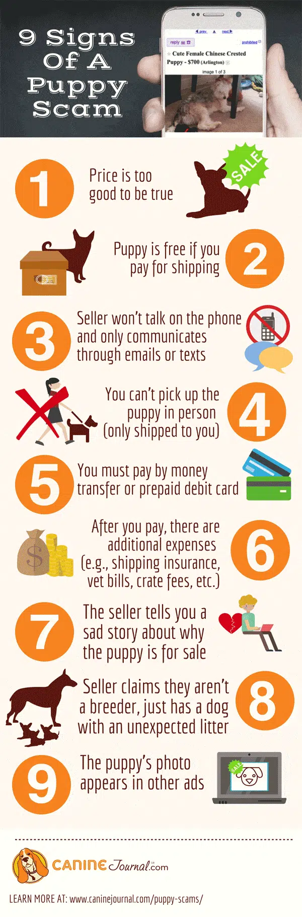 Infographic: Puppy scams