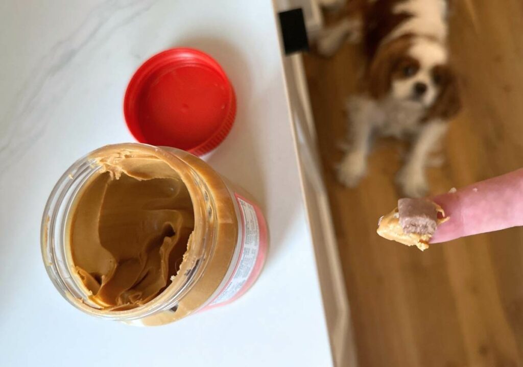 putting pill in peanut butter to get dog to eat it from finger jpg