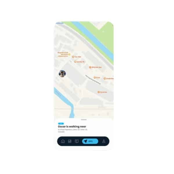 Queva smart collar app showing dog location.