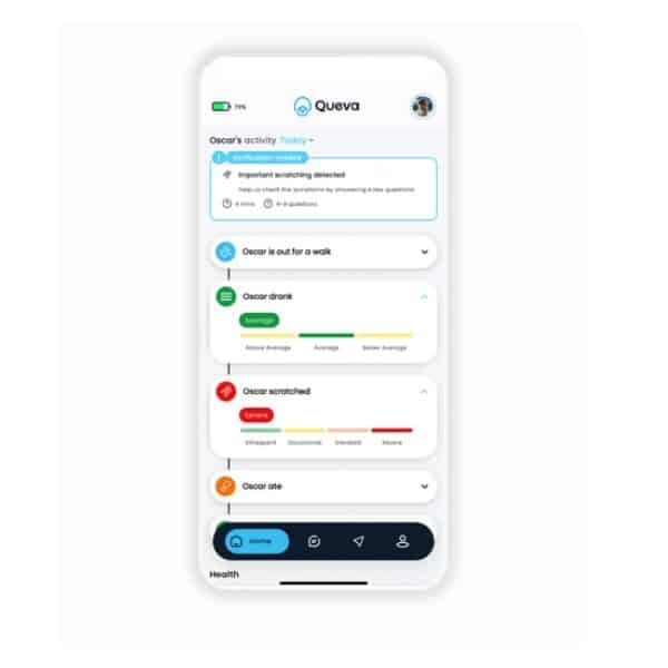 Queva smart dog collar app showing activity.