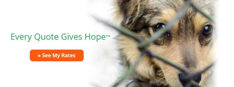 Every Quote Gives Hope Healthy Paws screenshot