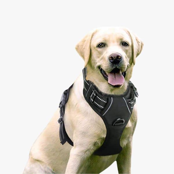 Rabbitgoo No-Pull Dog Harness 
