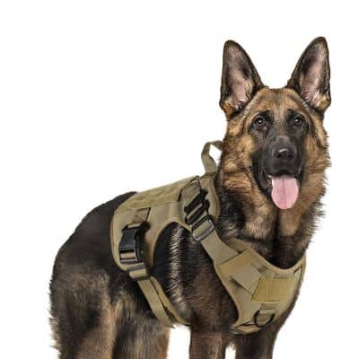 Rabbitgoo Tactical Dog Harness Vest With Handle