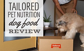 Dog looking at box of Tailored Pet food at door (Caption: Tailored Pet Nutrition Dog Food Review)