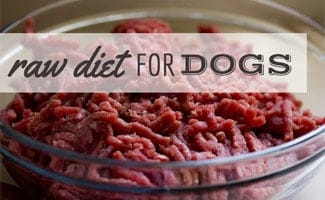 best mixer for raw dog food