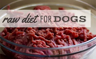 Bowl of raw meat (caption: Raw Diet For Dogs)