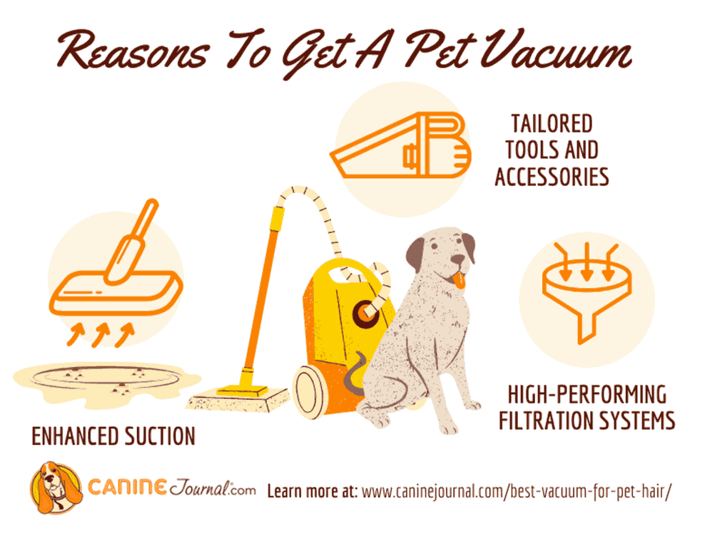 3 Reasons To Get A Pet Vacuum Graphic