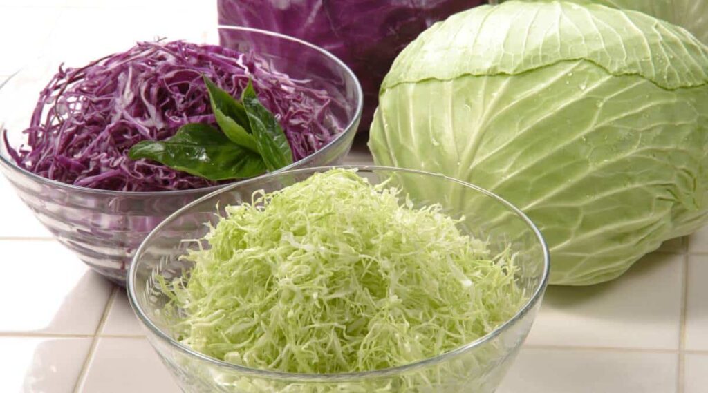 Red and green cabbages heads with bowls of chopped cabbage.