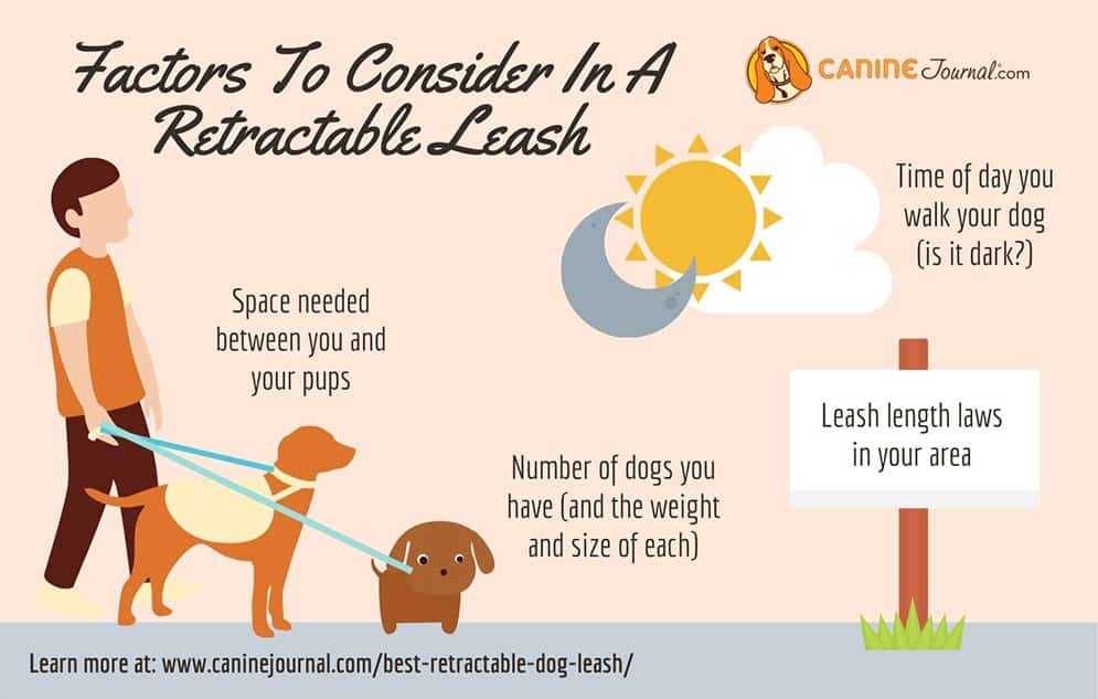 retractable dog lead for large dogs