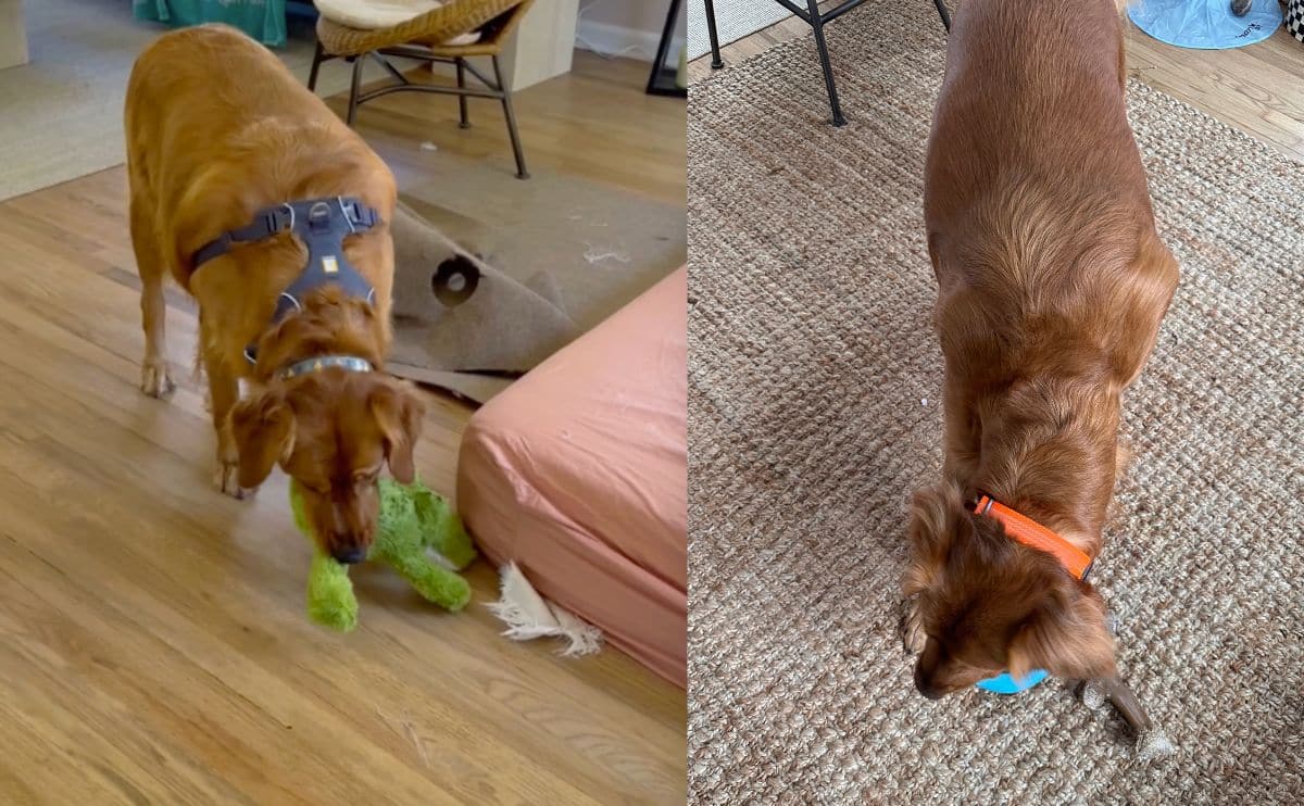 Rio before and after.