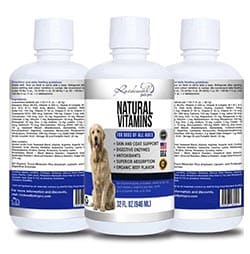 dog multivitamin supplements