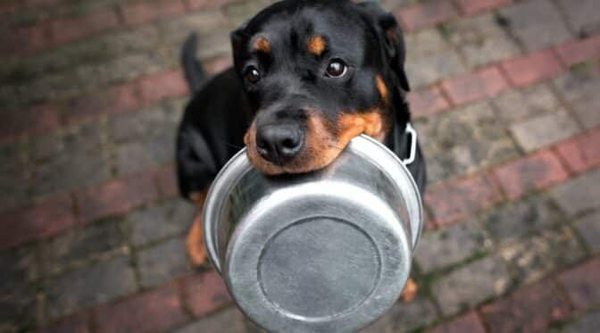 Indonesian Crypto Exchange Indodax Shuts Down Amidst Suspected $22M Hack