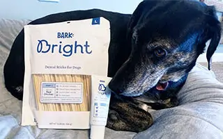 Sally black dog sitting next to bag of Bark Bright dental sticks and toothpaste