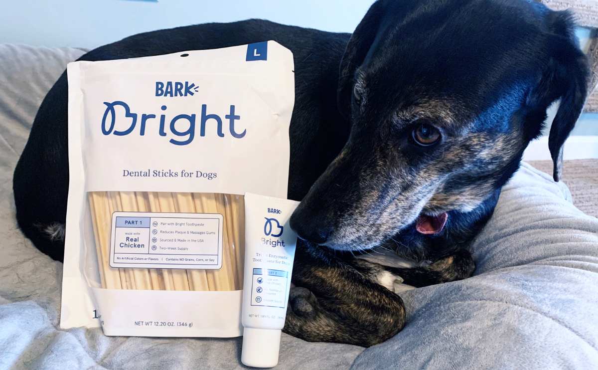 Sally next to bark bright bones and toothpaste.