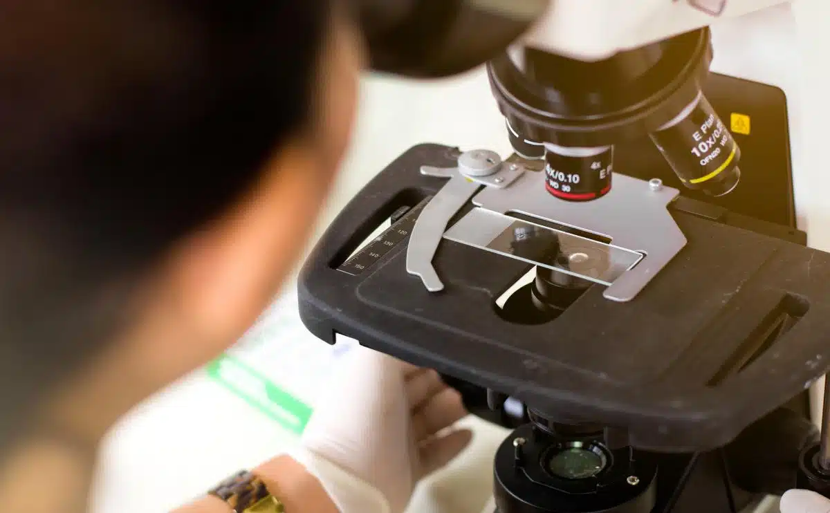 scientist looking at dog dna under a microscope