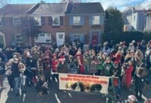 Scottish parade in Old Town group photo with Cavaliers King Charles Spaniels.
