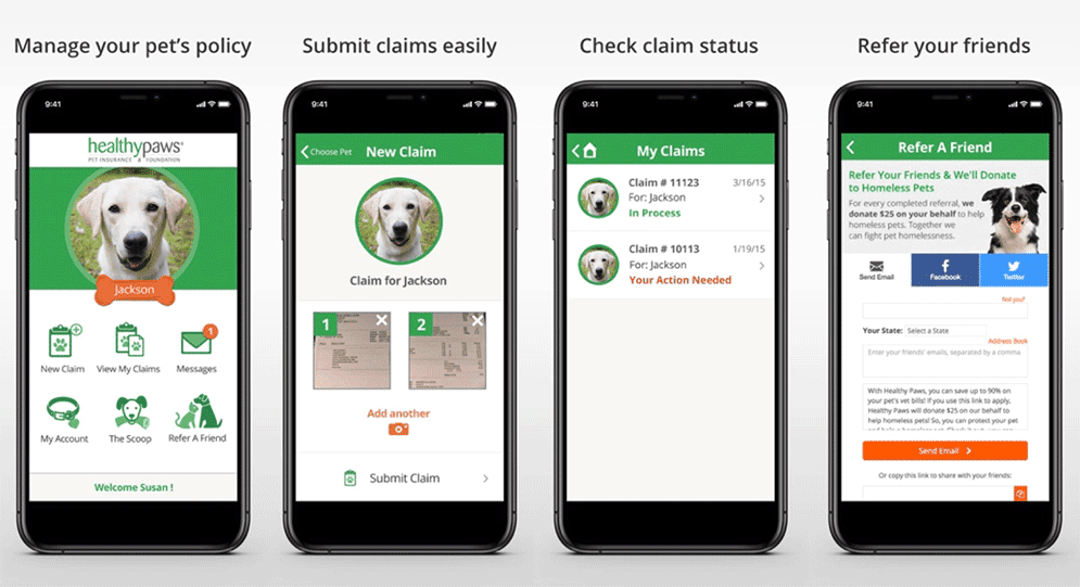 Healthy Paws App Screenshots