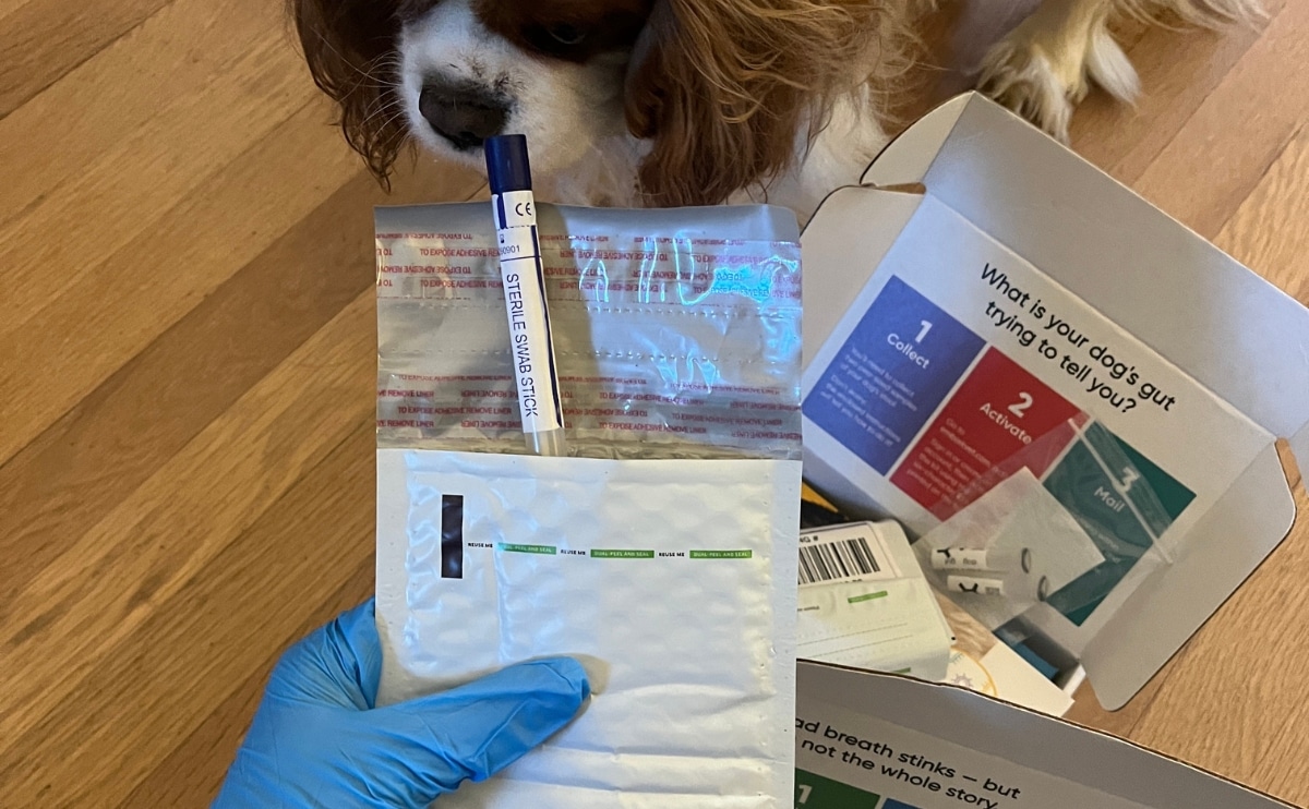 wearing plastic glove sealing embark sample in envelope to get results with package and dog in the background