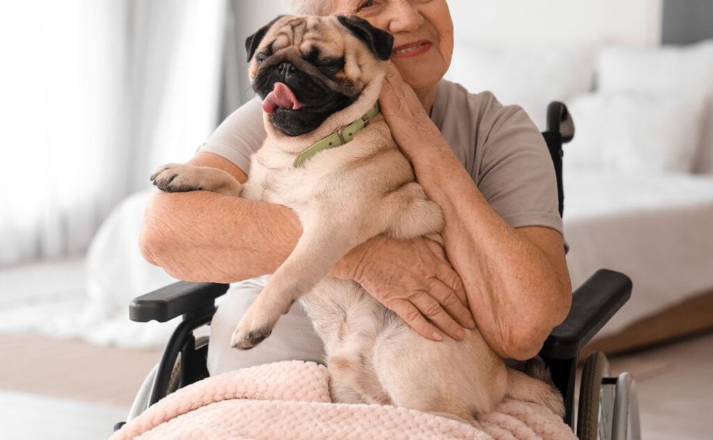 Senior woman in wheelchair holding a Pug.