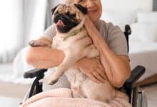 Senior woman in wheelchair holding a Pug.