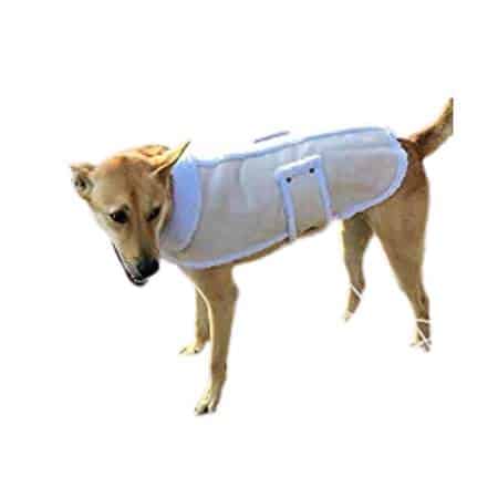 Shearling Fleece Dog Winter Coat Review
