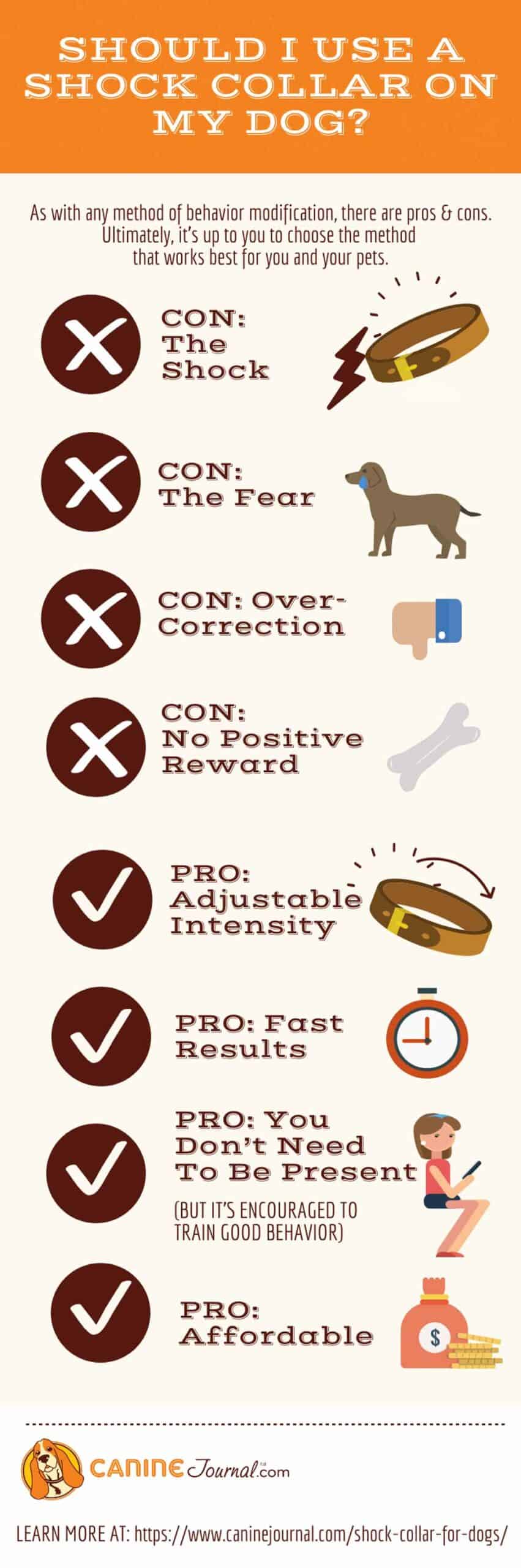 Should I use a shock collar on my dog infographic