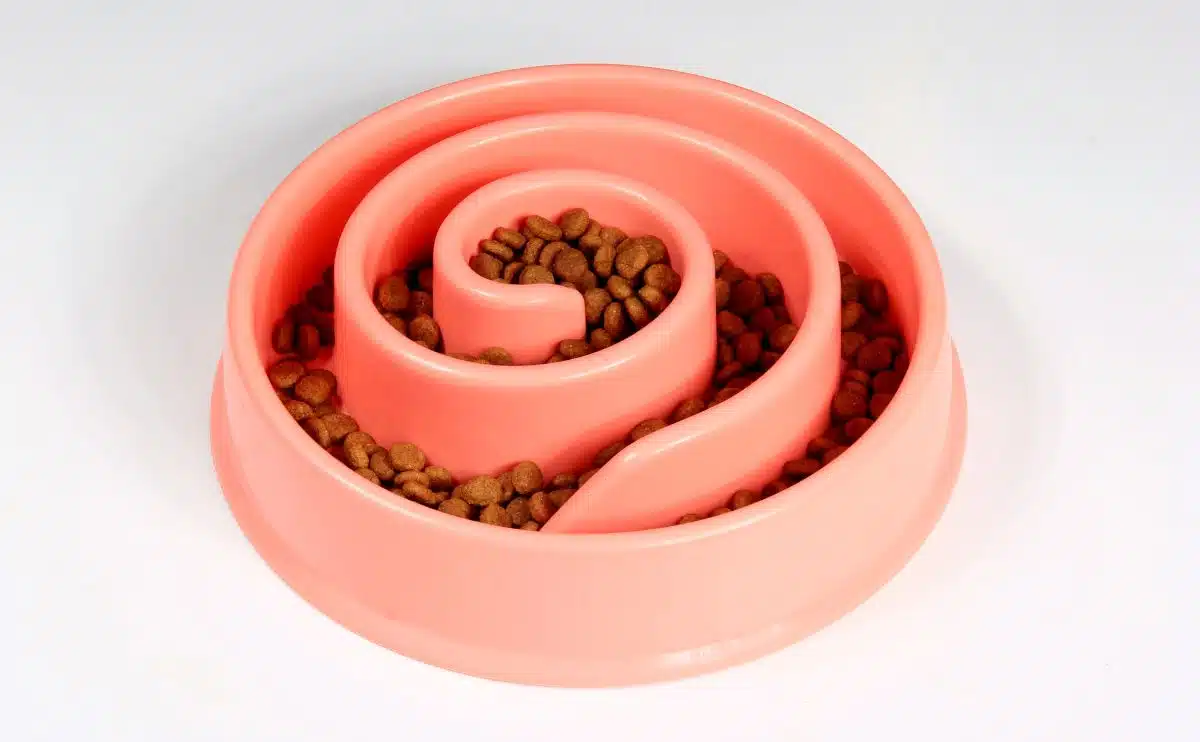 Top 5 Best Slow Feeder Dog Bowls for Wet Food — McSquare Doodles