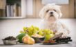 Beautiful view of Grapes Baked Or Raw Cause Canine Illness