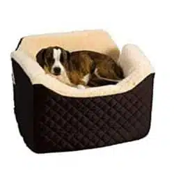 Dog sleeping in a Snoozer Lookout