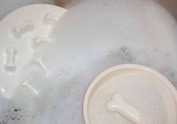 Soaking ceramic slow-feeder dog bowls in warm, soapy water to remove caked on dog food.